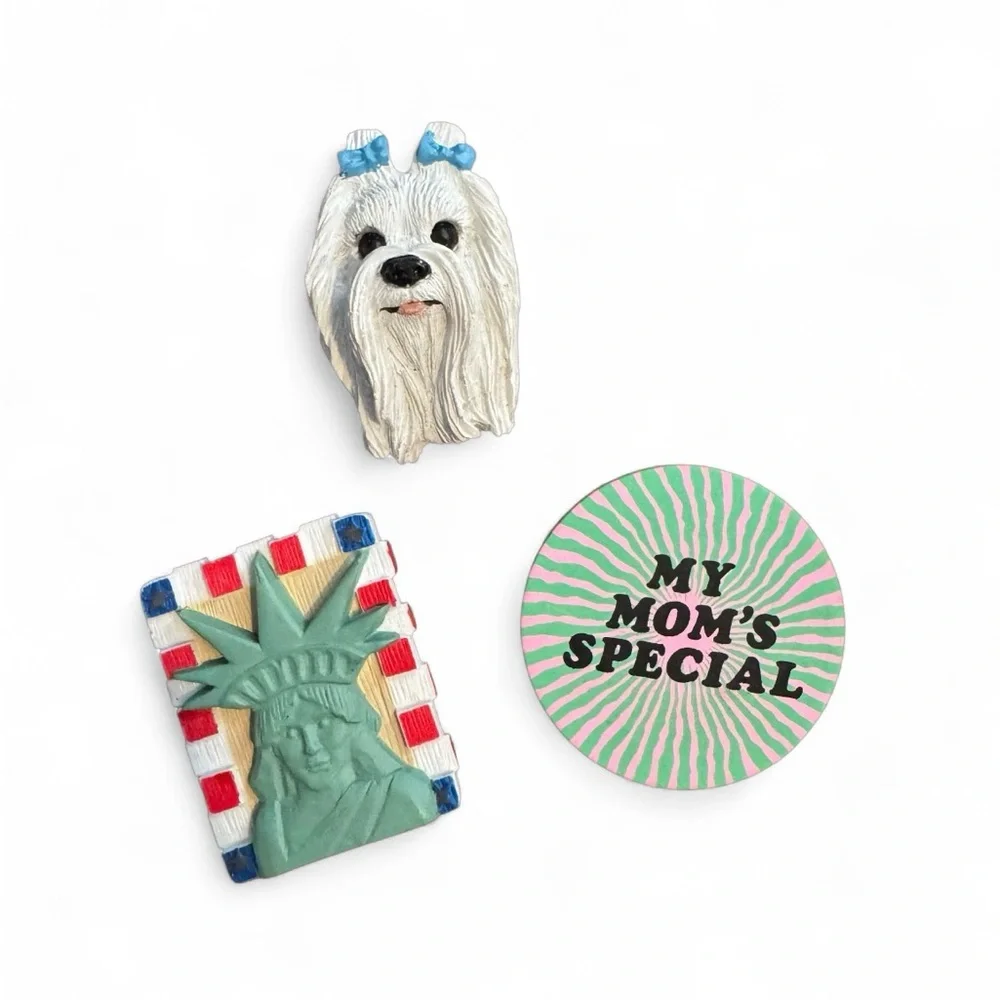 Lot of Random Vintage Magnets Cute Dog, Special Mom and Statue of Liberty